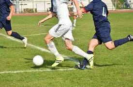 揭幕战激战,正酣,越牛小花败,米博体育平台,米博体育官方网站,米博体育登录入口,米博体育app下载