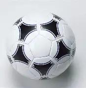 钟晋荣获第,十五届全国,运动会网球,米博体育平台,米博体育官方网站,米博体育登录入口,米博体育app下载