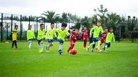 米博体育 资讯 135330 pjs