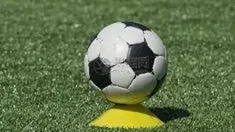 米博体育 产品 134124 wx0