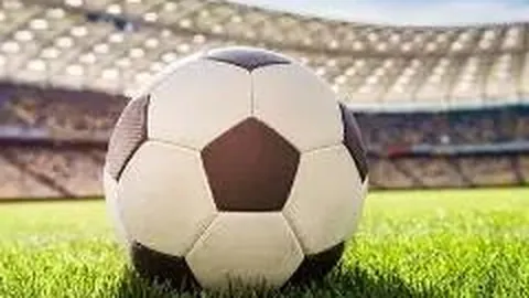 米博体育 资讯 135243 pjk